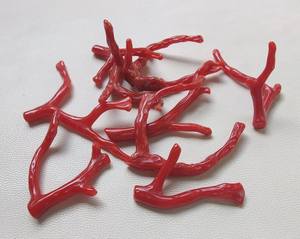 Palos de Coral rojo sangre áspero 100% Coral italiano Natural piedras preciosas ásperas palo de Coral rojo palo de Coral piedra preciosa palo de Coral Natural - Product Image 2