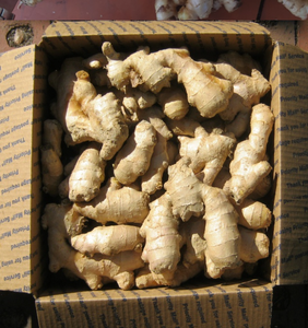 Caja de jengibre fresco 10kg Jengibre fresco terroso y aromático - Product Image 6