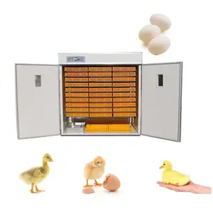 5280 chicken eggs incubator hatchery poultry incubation equipment