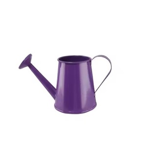 Arrosoir intérieur fini or avec grande poignée, métal antirouille, long bec, facile à transporter pour l'irrigation - Product Image 2