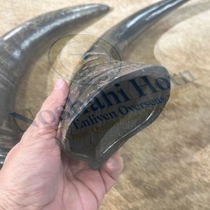 Sinh Thái có ý thức trâu sừng chó nhai có trách nhiệm có nguồn gốc cho các nhà bán lẻ vật nuôi bền vững - Product Image 5