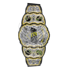 Équipement d'arts martiaux Ceintures de championnat durables Meilleure qualité En stock Ceintures de championnat - Product Image 2