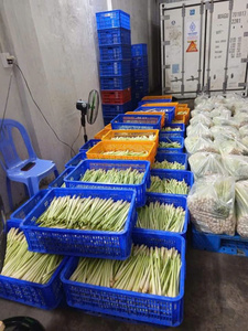 ฟรีภาษีต้นกำเนิด100% เวียดนามตะไคร้สดจากธรรมชาติ - Product Image 6