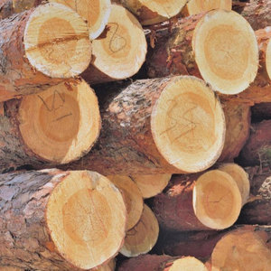 Productos duraderos de madera de pino, arena para gatos sin polvo, tablero de madera maciza, viga de pino y madera para construcción - Product Image 1