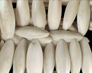 อาหารนกเนื้อปลาหมึกธรรมชาติจากเวียดนามอุปกรณ์สำหรับสัตว์เลี้ยงขายดีใน Amazon - Product Image 6