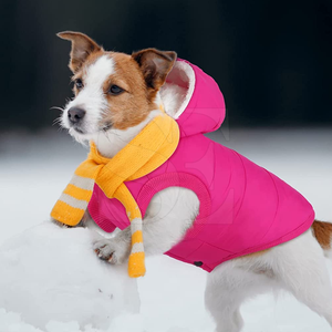 2025 nouveau hiver en gros coton Polyester chien à capuche personnalisé vêtements pour animaux de compagnie blanc chien à capuche de haute qualité - Product Image 5