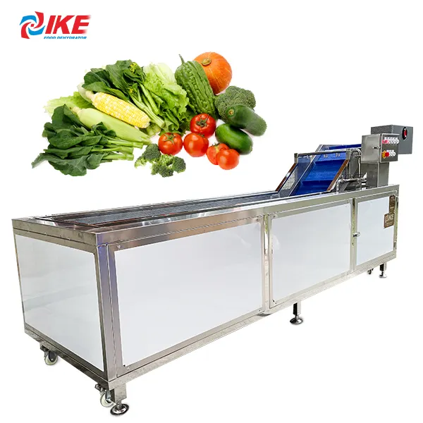 आइक सब्जी धोने की मशीन उपकरण स्प्रे सलाद सब्जी धोने