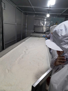 Noix de coco déshydratée de haute qualité, riche en matières grasses (60-65%), qualité fine, origine Vietnam +84 865 216 698 (Mme Lucy) - Product Image 3