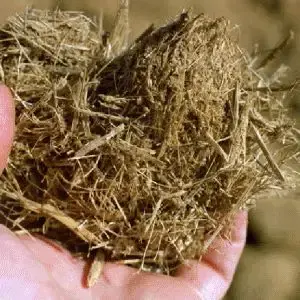 Ensilage de maïs de la meilleure qualité directement de l'usine Ensilage de maïs jaune, granulés de bagasse de canne à sucre - Product Image 4