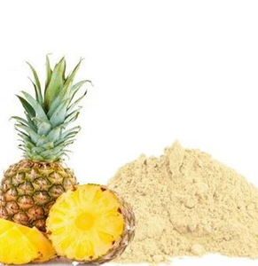 Polvo de piña Premium | 100% Polvo de jugo de piña secado por pulverización natural para aplicaciones de alimentos, bebidas y salud - Product Image 2