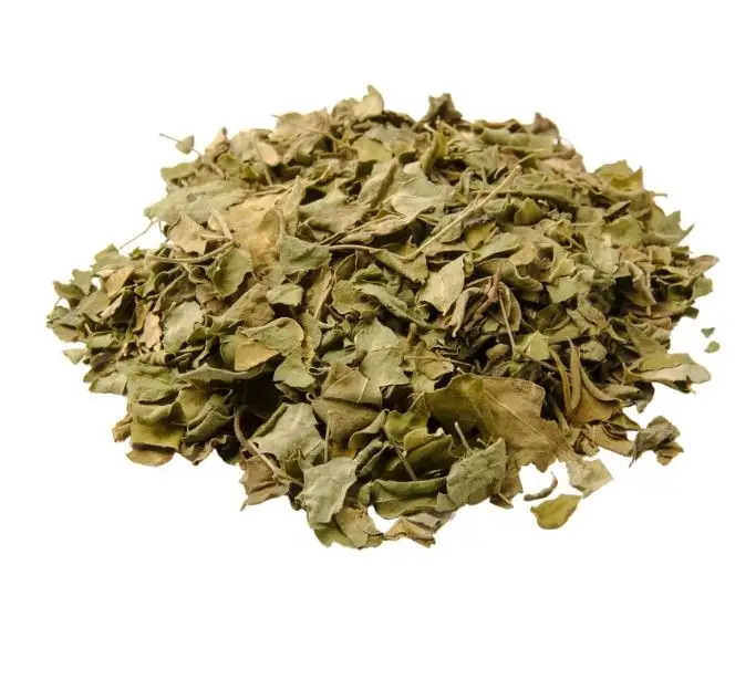 Chất lượng cao hữu cơ khô Moringa lá/khô Moringa lá/Moringa olifera trà giá rẻ giá