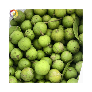 Dracontomelon Congelado IQF, Fruta Verde Ácida, Fabricante Vietnamita, Venta al por Mayor, Ingredientes Naturales de Alta Calidad para Mercados Globales - Product Image 6