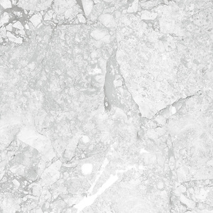 Azulejos de cerámica esmaltada de alta calidad de 600x600mm, nuevos azulejos de cerámica esmaltados superiores para pared y suelo, gran oferta - Product Image 6