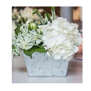 Jardinière de plantes galvanisées de conception fantastique taille et forme personnalisées jardinière en étain à prix raisonnable - Product Image 3