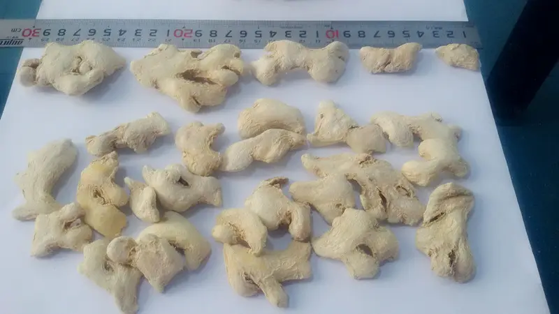 Air Dried Whole Ginger Blocks Wholesale Dried Ginger