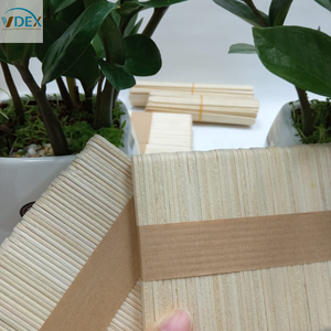 วัสดุไอติมเกรดไอติมแบบหลายขนาดบรรจุ50ชิ้น/แพ็คน้ำหนักสุทธิ10กก./กล่อง - Product Image 4