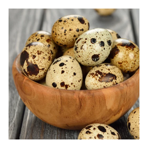 Caille en conserve de qualité supérieure dans un bouillon naturel tendre, savoureux et prêt à manger - Product Image 6