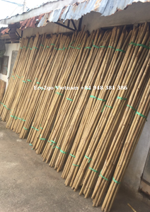 Piquet de bambou brut naturel bon marché pour plante de soutien piquets de plantes de bambou pour jardin par ECO2GO VIETNAM - Product Image 4