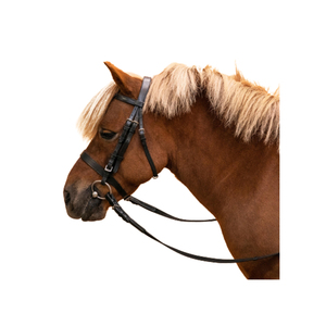 Un fournisseur indien propose des rênes d'entraînement de chevaux robustes à bas prix, réglables en coton pour la marche - Product Image 2