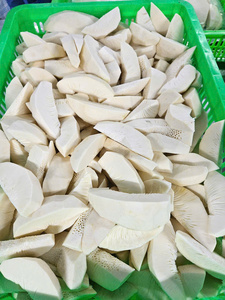 FRUITS À PAIN CONGELÉS (SAKE) AU MEILLEUR PRIX Entier ou en tranches Prêt pour la cuisson et la transformation des aliments DU FOURNISSEUR VIETNAMIEN - Product Image 5