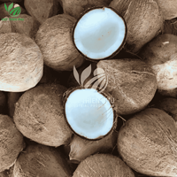 Hoge Kwaliteit Verse Kokosnoot Rechtstreeks Uit Vietnam Semi/Gepeld Fruit Directe Levering