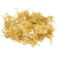 Material Making Sea Moss Gel Natural Sea Moss for Export Wholesale Eucheuma Cottonii Physiological Products - Product Image 5