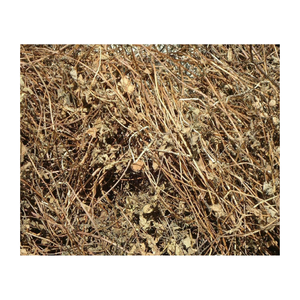 Feuille d'herbe noire du Vietnam avec de l'herbe Mesona séchée utilisée dans la production de thé en gelée d'herbe ingrédient à base de plantes naturelles en gros en vrac - Product Image 2