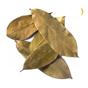 Feuilles de corossol séchées, feuilles de graviola sélectionnées du Vietnam, feuilles de corossol séchées en vrac pour l'exportation - Product Image 4