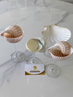 Sea Shell Weingläser Set Conch Shell Martini Glas für Outdoor Beach Hochzeit Home Candle Decoration