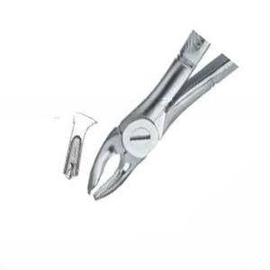 คีมถอนฟัน Fig.39เครื่องมือทางทันตกรรมทำจากสเตนเลสคุณภาพสูงโลโก้ตามสั่ง - Product Image 5