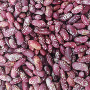 Organic Red Kidney <b>Beans</b> — Non-GMO, Dry, Raw, Sproutable, Vegan, Kosher, Bulk - Product Image 2