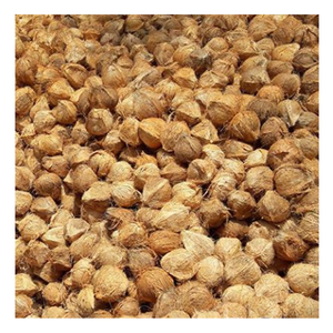 Exportación de Vietnam Coco semicuslado, Coco maduro fresco con rico sabor a Coco, fabricación de dulces a partir de coco maduro fresco fácilmente - Product Image 1