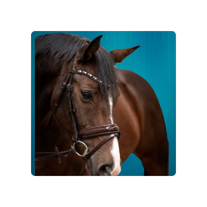 <b>Equestrian</b> Leather Joblot Horse Bridles Reins - Product Image 3