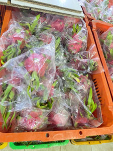 แก้วมังกรสดเนื้อแดงและขาวสำหรับส่งออกประเทศเวียดนาม - Product Image 6