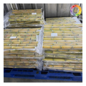 Nuevo Cultivo de jugo de caña de azúcar congelado BQF IQF palo de caña de azúcar congelado 10 kg/bolsa/caja de cartón embalaje a granel palo de caña de azúcar zumos de frutas - Product Image 5
