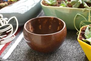 Cuenco de 750ml de cáscara de coco pulido y sin pulir ecológico, cuenco para servir hecho a mano con logotipo personalizado y embalaje para uso en la cocina - Product Image 4