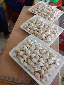 Viande de crabe en conserve feuilletée-Source de protéines naturelle, adaptée à de nombreux plats - Product Image 4