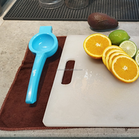Presse-citron en métal facile à utiliser pour la cuisine, presse-agrumes orange, presse-agrumes manuel
