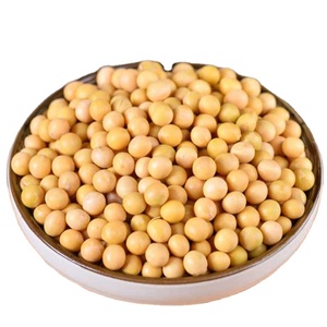 Buy Good Quality Soy Beans Raw <strong>Soybean</strong> Grain in Bags Organic Bulk <strong>Soybean</strong> <strong>Seeds</strong> for Food and Industrial Usage Cheap Price - Product Image 2