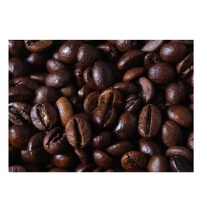 Café Robusta abordable à vendre Grains de café Robusta de qualité supérieure pour le brassage et les commandes en gros à des prix réduits - Product Image 3