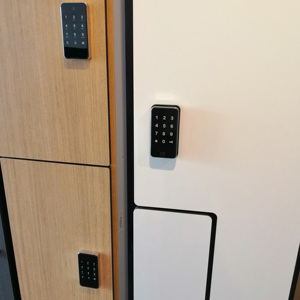 Kẽm hợp kim chất lượng cao điện tử lưu trữ tủ khóa với bàn phím và RFID tủ khóa - Product Image 3