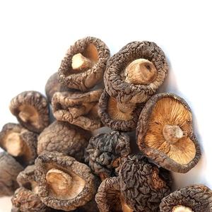 Champiñones secos Premium - Product Image 1