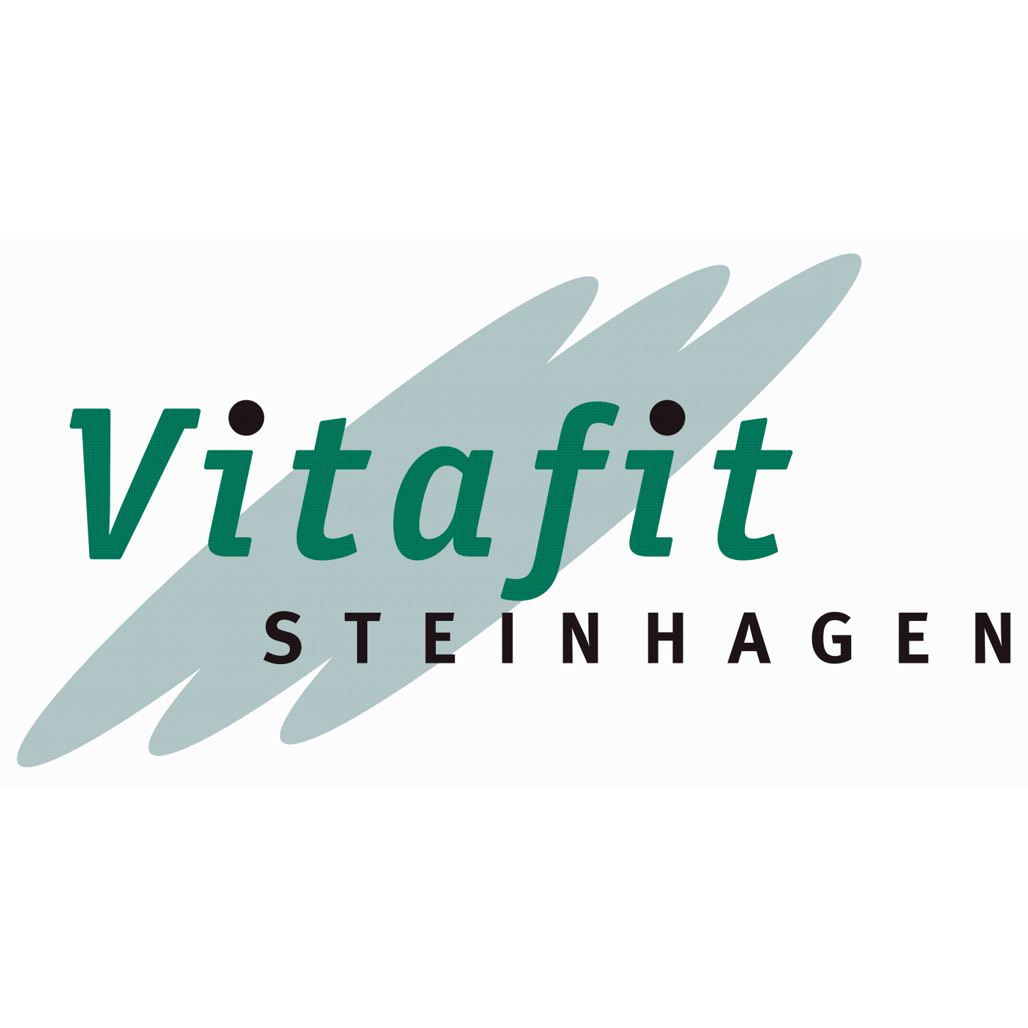 Vitafit GmbH logo