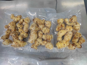 GALANGAL FRAIS DE HAUTE QUALITÉ/PARFAIT pour la CUISINE/SAIN & NATUREL/MADE in VIETNAM - Product Image 6