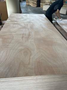 Contreplaqué commercial à âme en eucalyptus, face en bois dur mélangé avec Bintangor/Okume/Pin, design moderne pour usage en appartement - Product Image 2