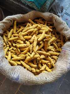 ขมิ้นชันแห้งธรรมชาติคุณภาพสูงเกรดพรีเมียม แท้ 100% แบบดิบ |   ได้รับการรับรองจาก FASSI APEDA |   การส่งออกจำนวนมาก |   ฟิตทรี - Product Image 4