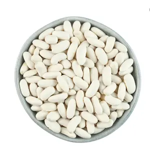 高品质100% 天然白豆200-220批发价出口