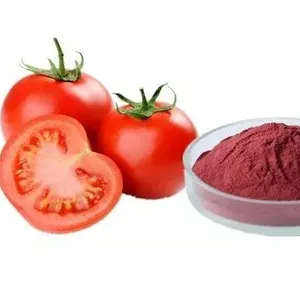 Factory Wholesale Food Grade Water Soluble Organic Tomato Powder Spray Dried Tomato Powder