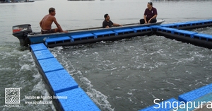 Jaula Flotante para Peces de HDPE de Alta Calidad, Tipo Flexible, 6x6m, 10 Agujeros/unidad para Piscicultura - 1 año de garantía - Product Image 2