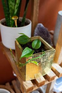 Luxury Beeswax Made Modern <b>Green</b> and Blue Color Foil Mosaic Flower Shape <b>Christmas</b> Decorative Votive - Product Image 5